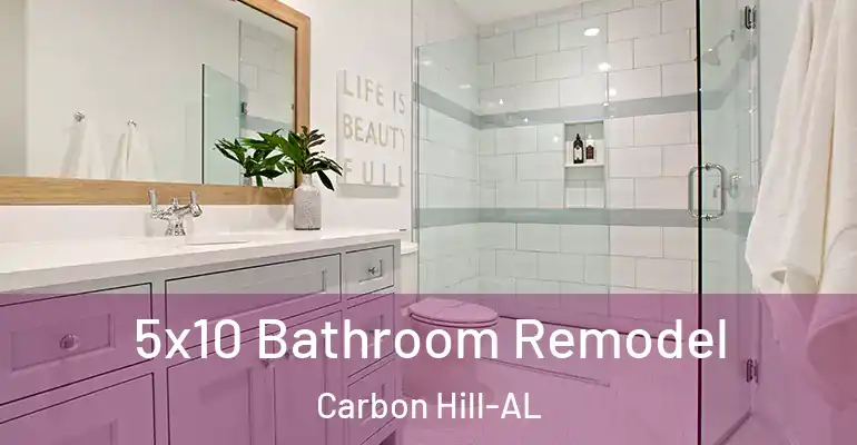 inner Bathroom imggen 5x10 Bathroom Remodel Carbon Hill-AL