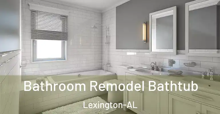 inner Bathroom imggen Bathroom Remodel Bathtub Lexington-AL