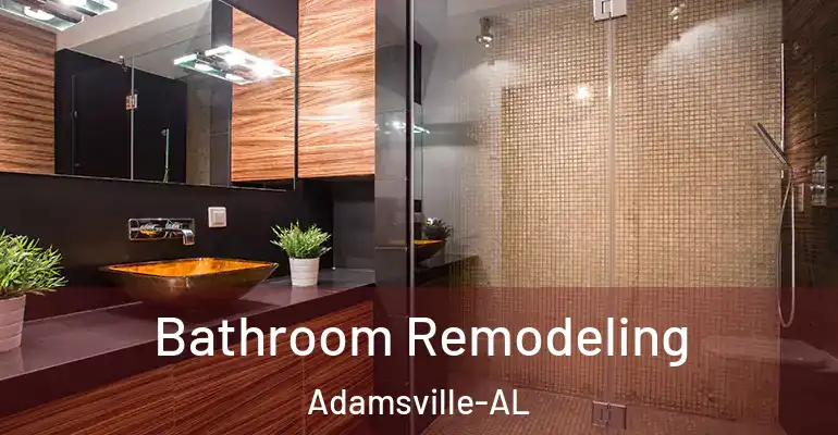 inner Bathroom imggen Bathroom Remodeling Adamsville-AL
