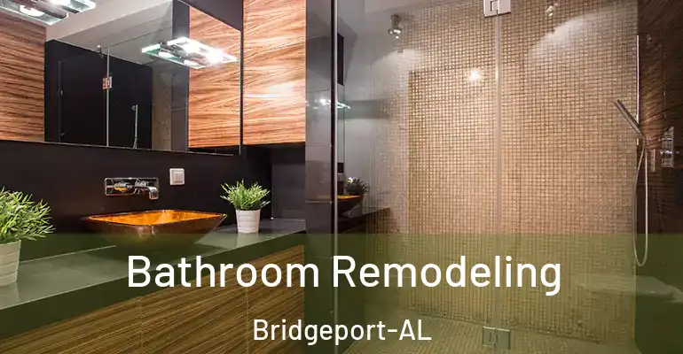 inner Bathroom imggen Bathroom Remodeling Bridgeport-AL