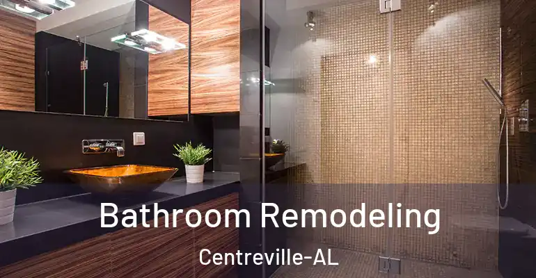 inner Bathroom imggen Bathroom Remodeling Centreville-AL