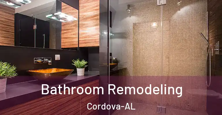 inner Bathroom imggen Bathroom Remodeling Cordova-AL