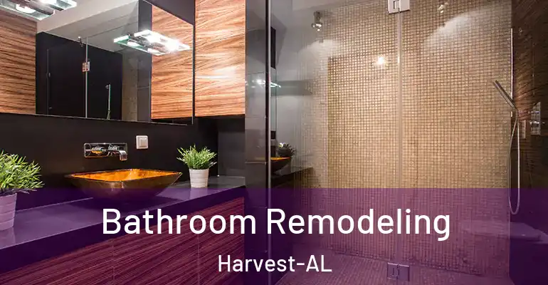 inner Bathroom imggen Bathroom Remodeling Harvest-AL