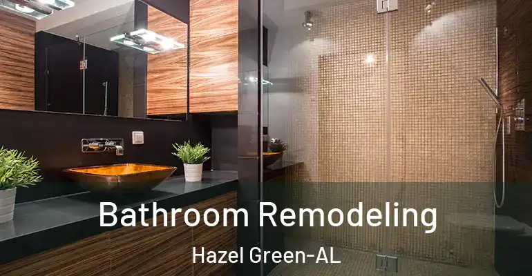 inner Bathroom imggen Bathroom Remodeling Hazel Green-AL