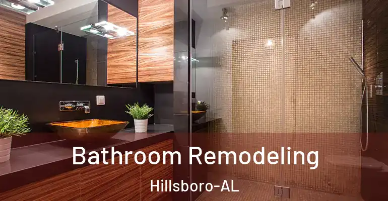 inner Bathroom imggen Bathroom Remodeling Hillsboro-AL