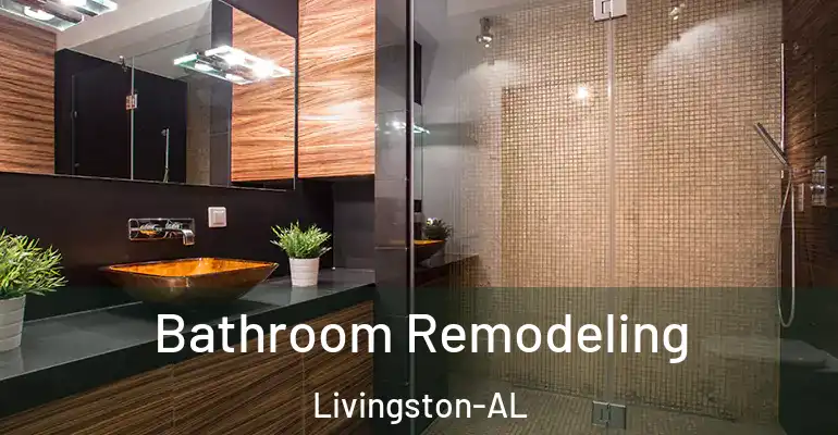inner Bathroom imggen Bathroom Remodeling Livingston-AL