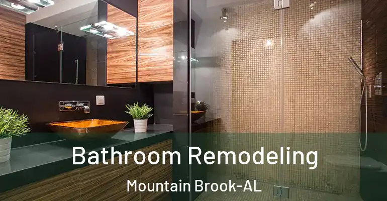 inner Bathroom imggen Bathroom Remodeling Mountain Brook-AL