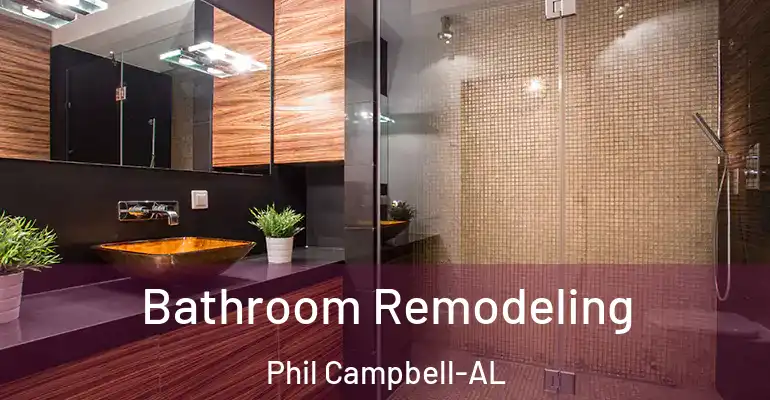 inner Bathroom imggen Bathroom Remodeling Phil Campbell-AL