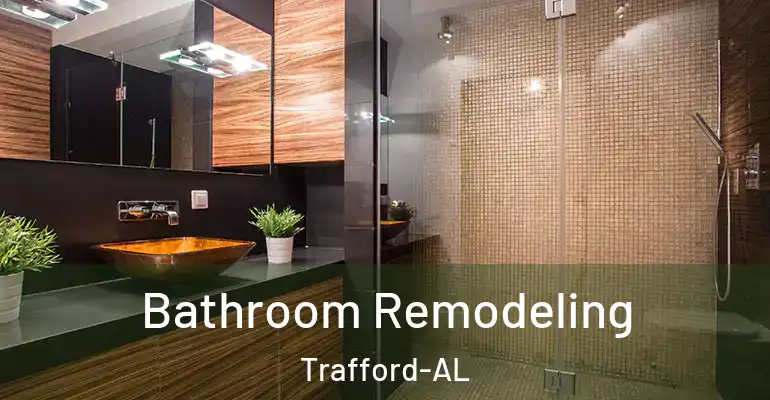 inner Bathroom imggen Bathroom Remodeling Trafford-AL