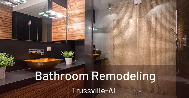 inner Bathroom imggen Bathroom Remodeling Trussville-AL