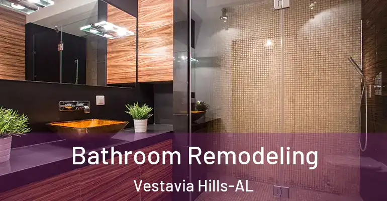 inner Bathroom imggen Bathroom Remodeling Vestavia Hills-AL