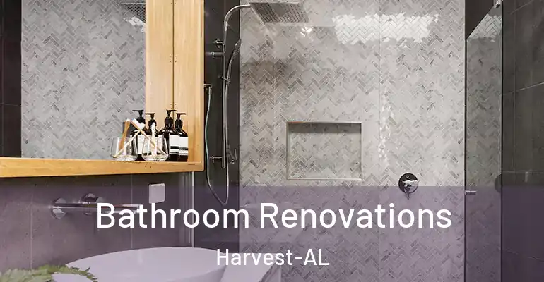 inner Bathroom imggen Bathroom Renovations Harvest-AL