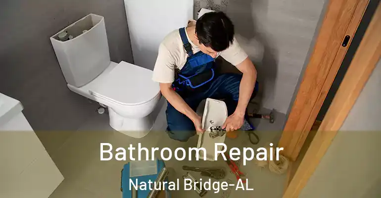 inner Bathroom imggen Bathroom Repair Natural Bridge-AL
