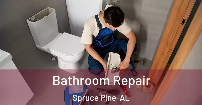 inner Bathroom imggen Bathroom Repair Spruce Pine-AL