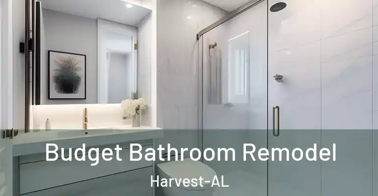 inner Bathroom imggen Budget Bathroom Remodel Harvest-AL
