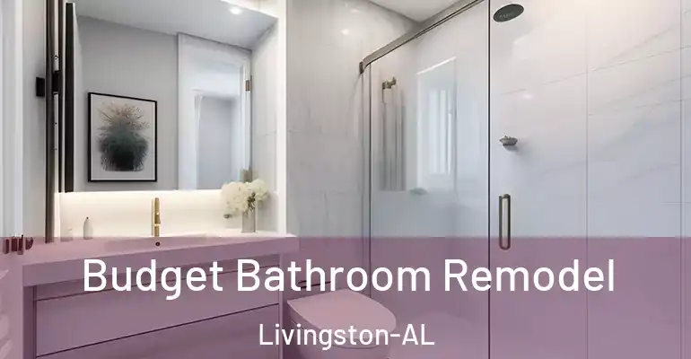 inner Bathroom imggen Budget Bathroom Remodel Livingston-AL
