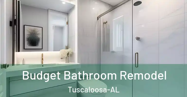 inner Bathroom imggen Budget Bathroom Remodel Tuscaloosa-AL