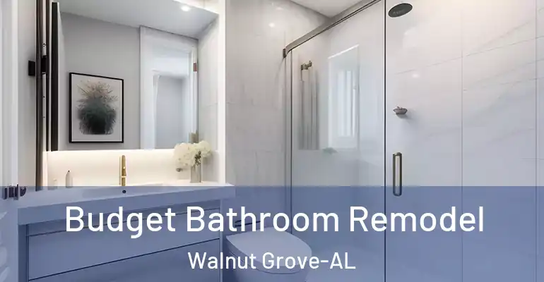 inner Bathroom imggen Budget Bathroom Remodel Walnut Grove-AL
