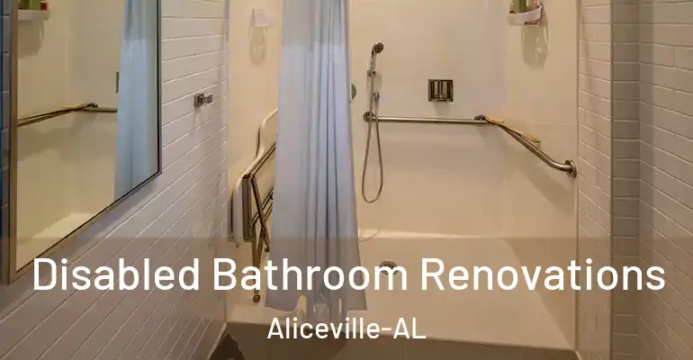 inner Bathroom imggen Disabled Bathroom Renovations Aliceville-AL