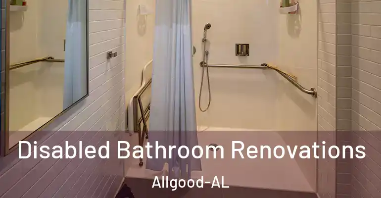 inner Bathroom imggen Disabled Bathroom Renovations Allgood-AL