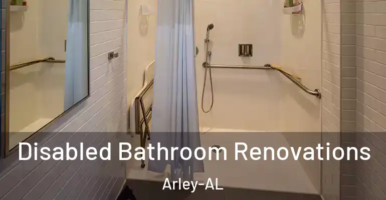 inner Bathroom imggen Disabled Bathroom Renovations Arley-AL