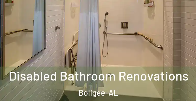 inner Bathroom imggen Disabled Bathroom Renovations Boligee-AL