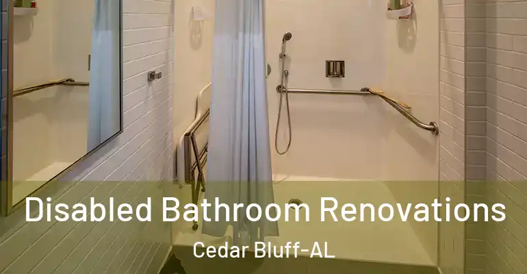 inner Bathroom imggen Disabled Bathroom Renovations Cedar Bluff-AL