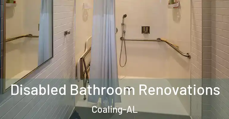 inner Bathroom imggen Disabled Bathroom Renovations Coaling-AL