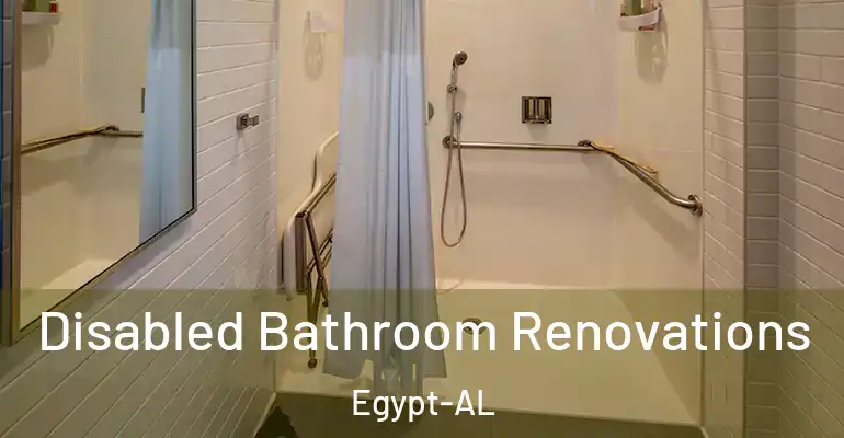 inner Bathroom imggen Disabled Bathroom Renovations Egypt-AL
