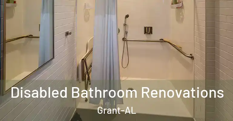 inner Bathroom imggen Disabled Bathroom Renovations Grant-AL