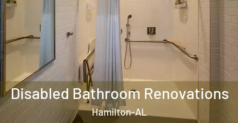 inner Bathroom imggen Disabled Bathroom Renovations Hamilton-AL