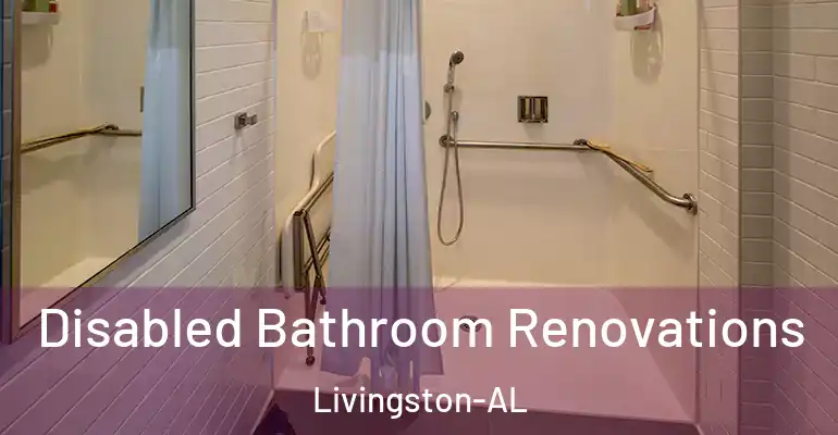 inner Bathroom imggen Disabled Bathroom Renovations Livingston-AL