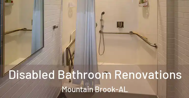 inner Bathroom imggen Disabled Bathroom Renovations Mountain Brook-AL