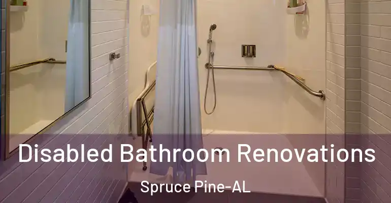 inner Bathroom imggen Disabled Bathroom Renovations Spruce Pine-AL