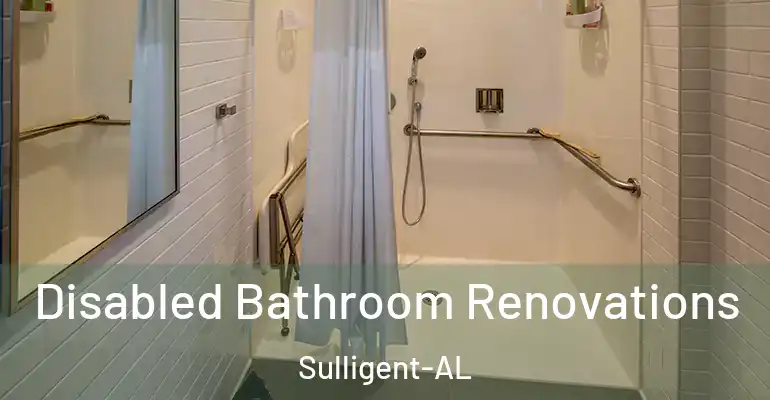 inner Bathroom imggen Disabled Bathroom Renovations Sulligent-AL