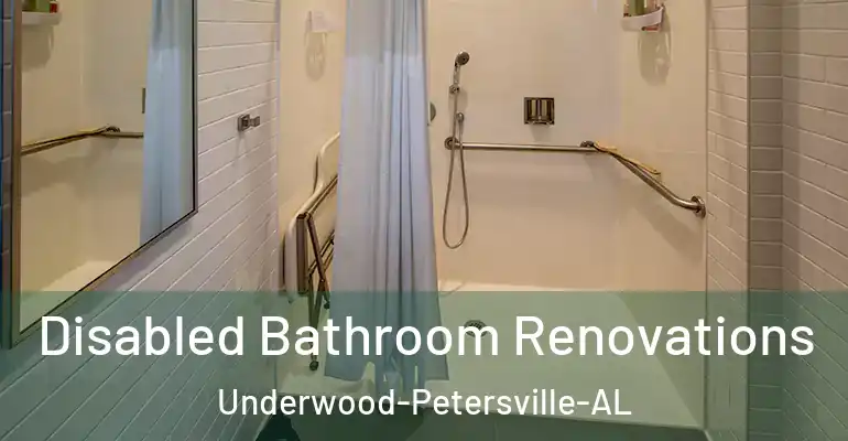 inner Bathroom imggen Disabled Bathroom Renovations Underwood-Petersville-AL