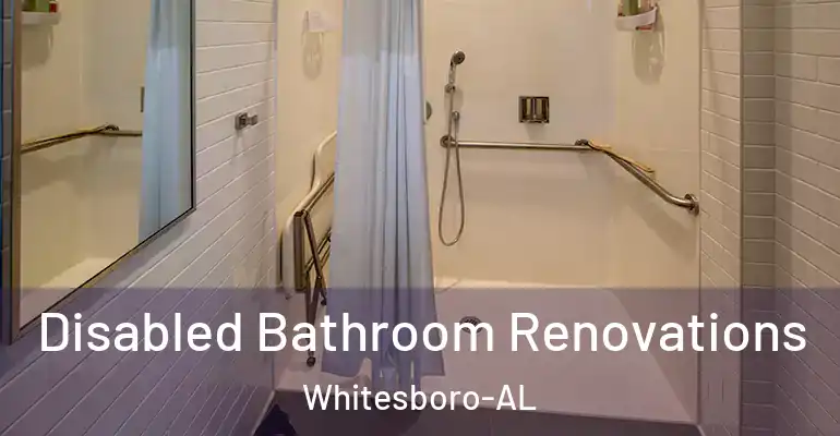 inner Bathroom imggen Disabled Bathroom Renovations Whitesboro-AL