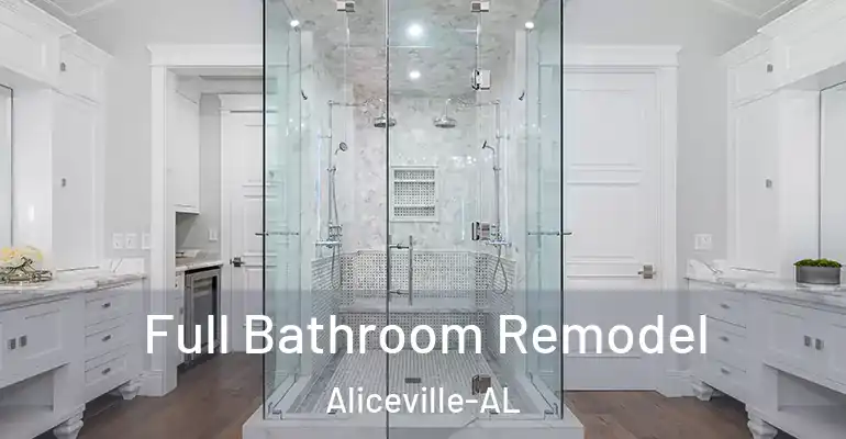 inner Bathroom imggen Full Bathroom Remodel Aliceville-AL