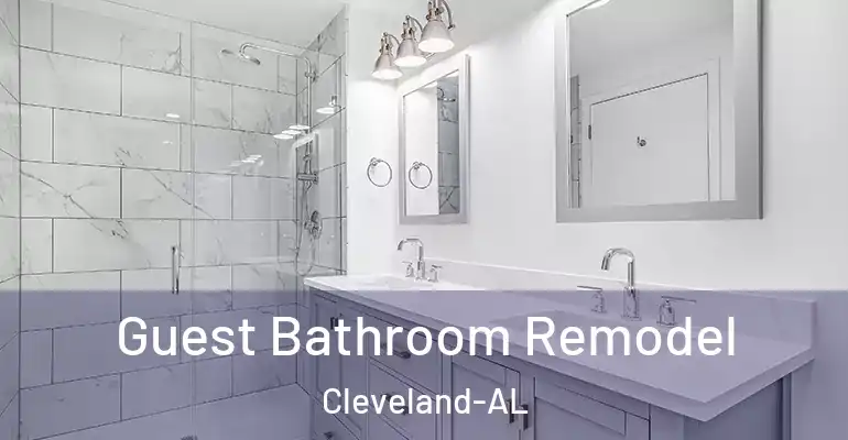inner Bathroom imggen Guest Bathroom Remodel Cleveland-AL