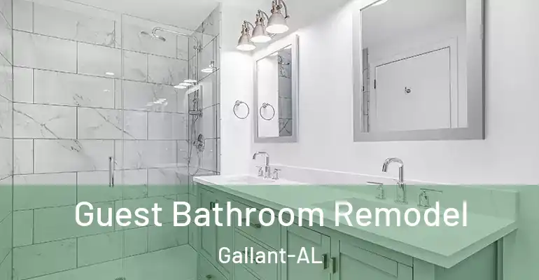 inner Bathroom imggen Guest Bathroom Remodel Gallant-AL