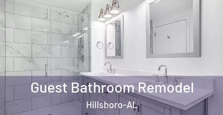 inner Bathroom imggen Guest Bathroom Remodel Hillsboro-AL