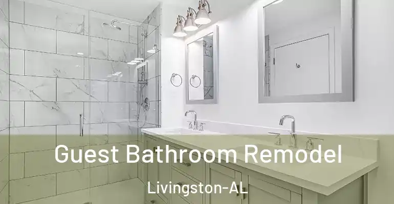 inner Bathroom imggen Guest Bathroom Remodel Livingston-AL