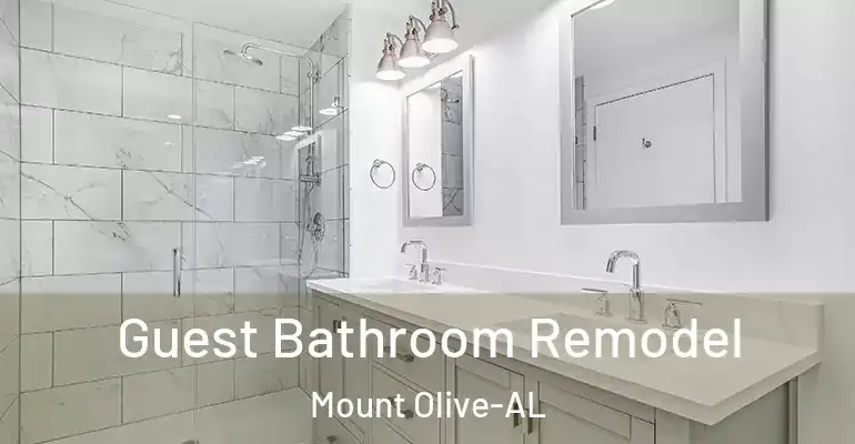 inner Bathroom imggen Guest Bathroom Remodel Mount Olive-AL