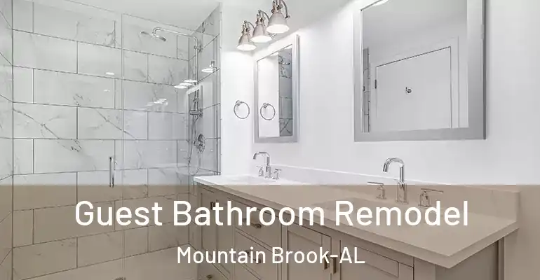 inner Bathroom imggen Guest Bathroom Remodel Mountain Brook-AL