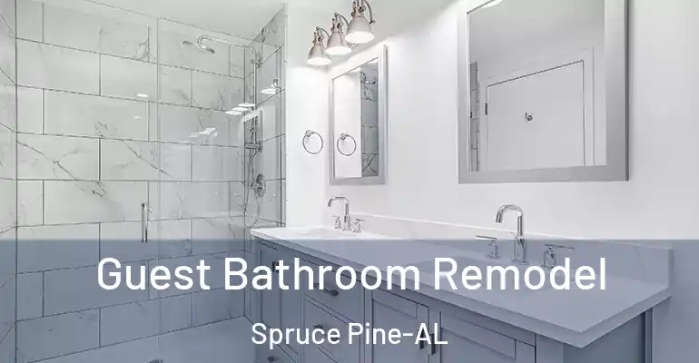 inner Bathroom imggen Guest Bathroom Remodel Spruce Pine-AL
