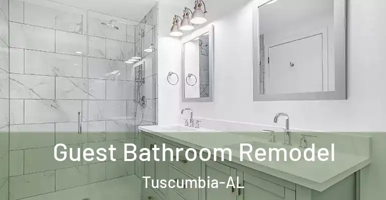 inner Bathroom imggen Guest Bathroom Remodel Tuscumbia-AL