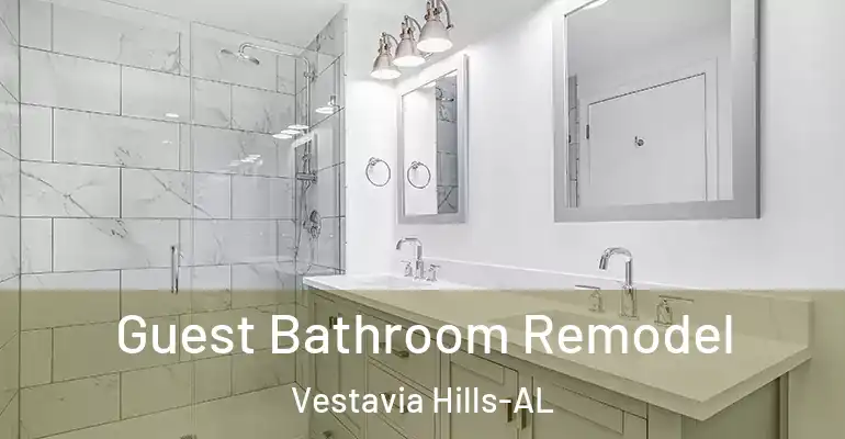 inner Bathroom imggen Guest Bathroom Remodel Vestavia Hills-AL