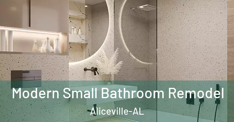 inner Bathroom imggen Modern Small Bathroom Remodel Aliceville-AL