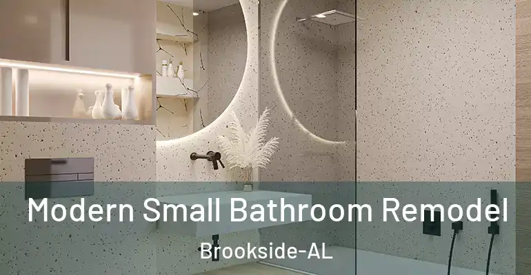 inner Bathroom imggen Modern Small Bathroom Remodel Brookside-AL