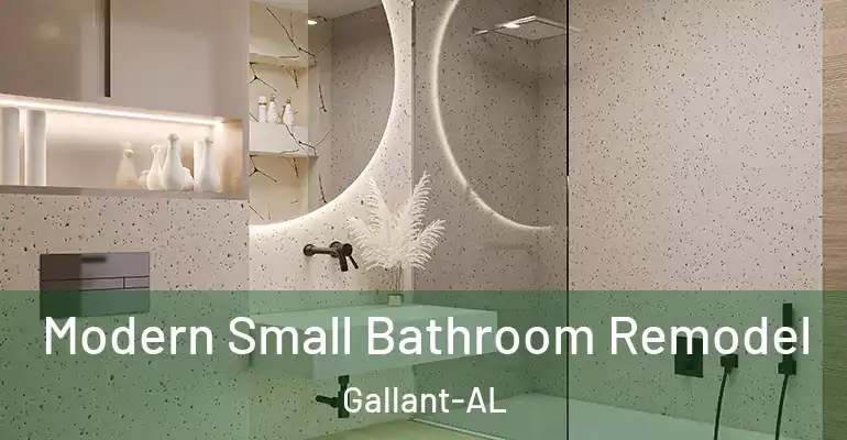 inner Bathroom imggen Modern Small Bathroom Remodel Gallant-AL